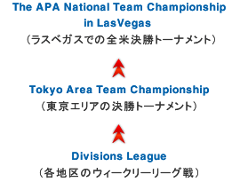 The APA National Team Championship