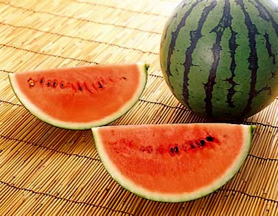 【2013/14 夏セッション 開催要項】